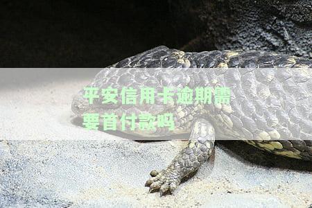 平安信用卡逾期，警惕！平安信用卡逾期可能带来的严重后果