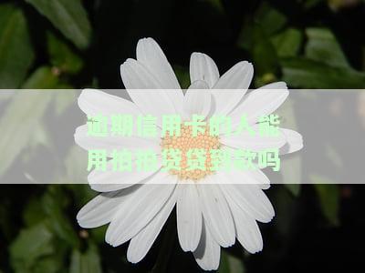 逾期信用卡的人能用拍拍贷贷到款吗-逾期信用卡的人能用拍拍贷贷到款吗安全吗