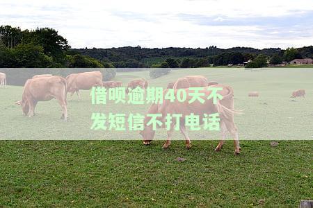 借呗逾期11天没接电话会打联系人电话，未接听借呗逾期电话，可能会被转接到联系人手机上