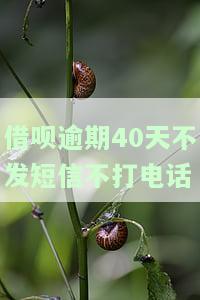 借呗逾期也不打电话了，借呗逾期未接到催款电话，应该怎么做？