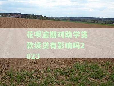 花呗逾期对2023年助学贷款续贷有影响吗？