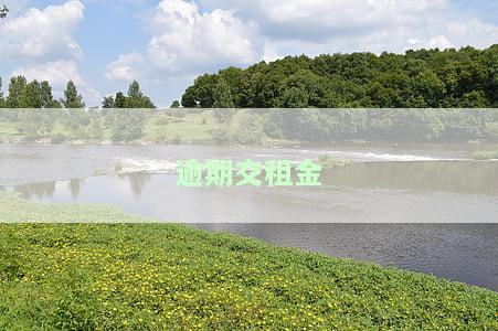 '逾期交租金每日违约金2%是否合理？专家解读'