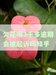 花呗欠三千会被起诉吗，花呗欠款3000元会被告上法庭吗？