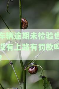 车辆逾期未检验是否可以上路？罚款如何计算？