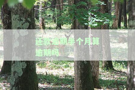 逾期半个小时算逾期吗，半个头的误是否算作逾期？