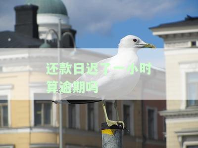 还款日了一小时算逾期吗怎么办，小知识：还款日一小时是否算逾期？解决办法大揭秘！