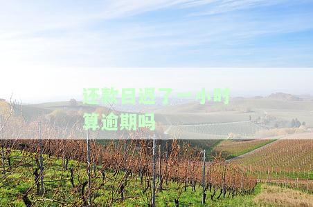 还款日了一小时算逾期吗？可能会有影响，建议尽快还款。