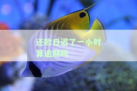 晚了一个小时还款算逾期吗，是否算逾期？晚了一个小时还款的情况解析