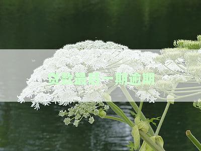 贷款最后一期逾期一天结清后，征信上能看见吗？会对信用记录产生影响吗？