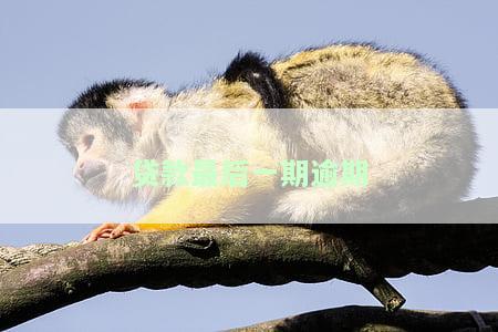 贷款最后一期逾期一个月会怎么样？影响、处理方式及后续措全解析