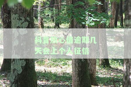 抖音放心借会查征信吗，揭秘抖音放心借：是否会查询你的征信记录？