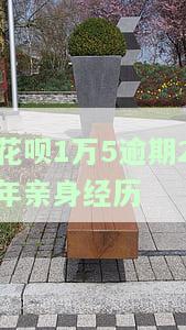花呗逾期1万多2年未还，被起诉怎么办？