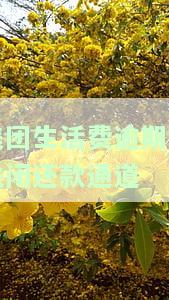 美团生活费按期还款被催，逾期未还美团生活费，遭遇催收困扰