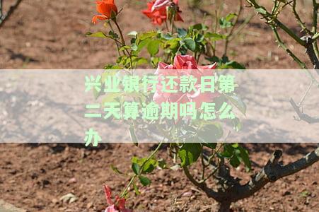 兴业银行还款日是2号,账单日是多少，兴业银行还款日为2号，那么账单日是什么时候呢？