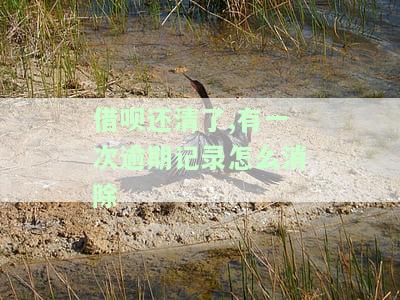借呗还清了一次逾期记录如何消除？已还清但仍有逾期显示，能否继续使用或借款？之前有逾期但已还清，是否还能申请借呗？