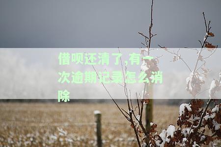 借呗还清了,有一次逾期记录怎么消除掉，如何消除借呗还清后的一次逾期记录？
