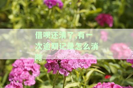 借呗还清后多久能正常用？逾期已还清仍无法使用如何解决？