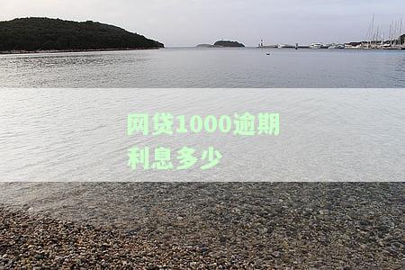 网贷1000逾期利息多少合适？逾期严重后果解析