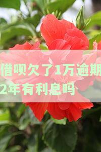 借呗一万块逾期两年：利息、还款方案及所需金额全解析