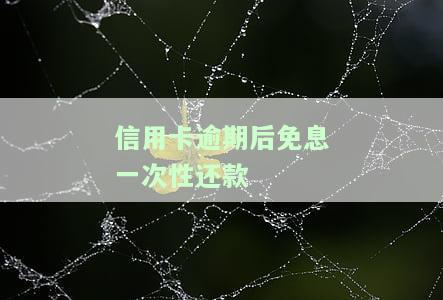 '一次性还请逾期信用卡能否减免利息？如何协商减免？'