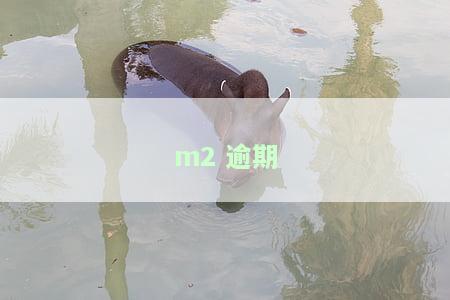 M2逾期是什么意思，解析金融术语：理解M2逾期的含义与影响