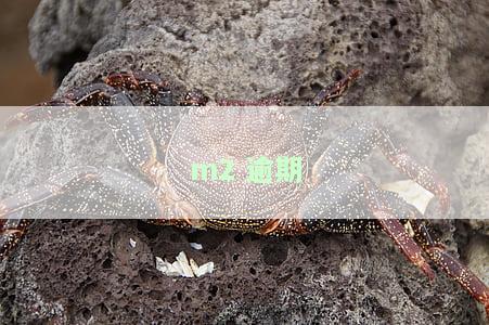 m2逾期带来的影响，警惕！M2逾期可能带来的严重后果