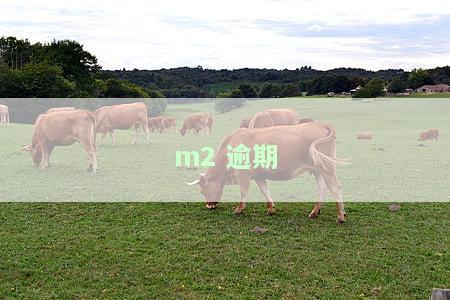 m2逾期率，揭示金融风险：探究M2逾期率的影响与应对策略
