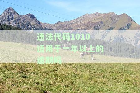 违法代码10101及其相关处罚：包括10103、101001、10102、1010b、1010a，罚款金额详细解析