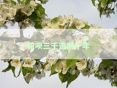 欠了花呗1000块逾期三年怎么到1800，惊！欠款1000元逾期三年，为何变成了1800元？