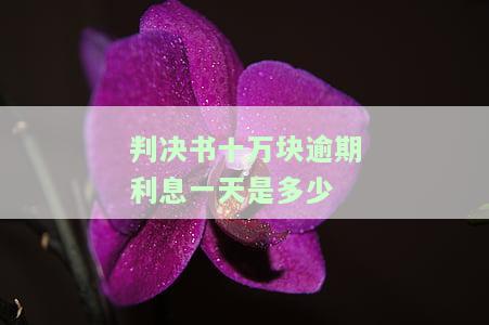 判决书十万块逾期利息一天是多少-判决书十万块逾期利息一天是多少钱