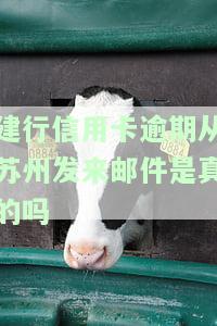 建行信用卡逾期从州发来邮件是真的吗-建行信用卡逾期从州发来邮件是真的吗吗