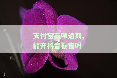 支付宝花呗逾期,能开抖音橱窗吗怎么开，支付宝花呗逾期情况下，如何开通抖音橱窗？
