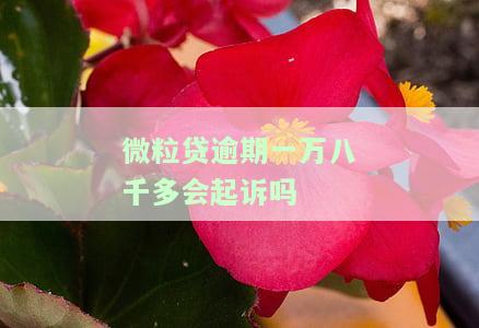 微粒贷逾期一万八千多会起诉吗-微粒贷逾期一万八千多会起诉吗知乎