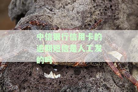 中信银行信用卡的逾期短信是人工发的吗是真的吗，真相揭秘：中信银行信用卡逾期短信真的是人工发送的吗？