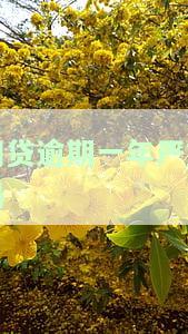 网贷逾期一年怎么办，遭遇网贷逾期一年，如何解决？