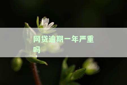 网贷逾期1年会怎么样，一年未还网贷：可能面临哪些后果？