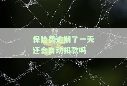 保险费逾期了怎么办，保险费逾期：应对策略与解决方案