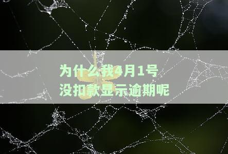 为什么我4月1号没扣款显示逾期？如何解决？