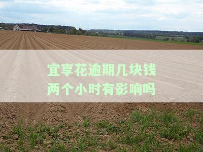 宜享花逾期几块钱两个小时有影响吗？安全吗？真的可靠吗？