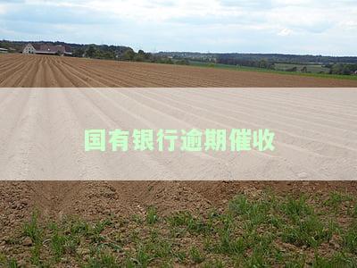 国有银行逾期催收怎么投诉，如何投诉国有银行的逾期催收行为？