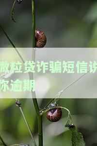 微粒贷诈骗短信：逾期是真的吗？警惕疑似骗贷行为！