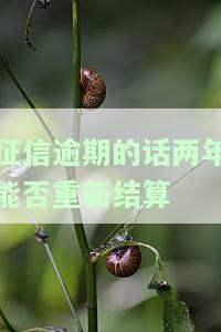 征信逾期过两年了还能贷款吗？影响买房、信用卡申请吗？全清后能否再贷？