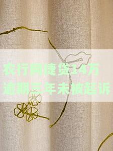 农行网捷贷没还多久起诉，农行网捷贷逾期未还，或将面临法律诉讼