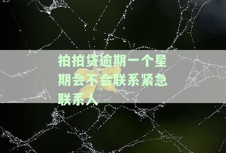 拍拍贷逾期一个星期会影响以后的借款吗？是否会打联系人？安全性如何？