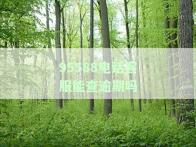 95588电话客服能查逾期吗怎么查，查询逾期状态：使用95588电话客服如何进行？