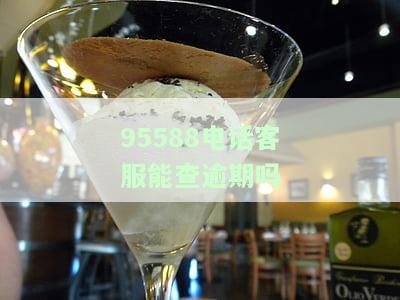 如何通过打银行客服查询逾期、征信及贷款情况？
