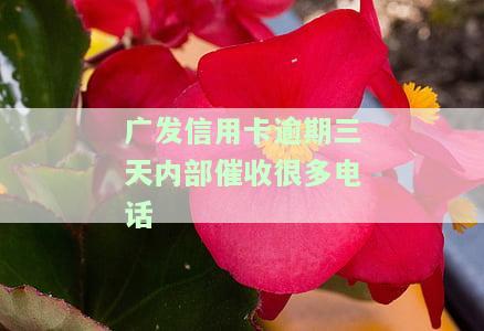 发信用卡逾期三天内部催收很多电话是真的吗，发信用卡逾期三天，真的会接到大量内部催收电话吗？