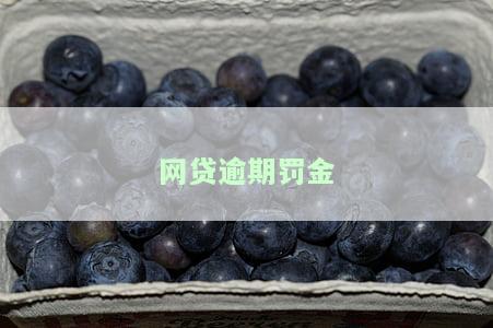 如何处理网贷逾期罚金？最佳、最有效的解决办法及计算方式，能否减免？