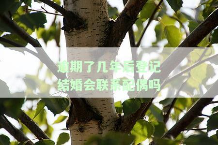 逾期能结婚吗？了解逾期结婚的相关影响与规定