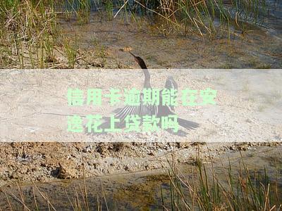 信用卡逾期能在安逸花上贷款吗，信用卡逾期是否会影响在安逸花上的贷款申请？